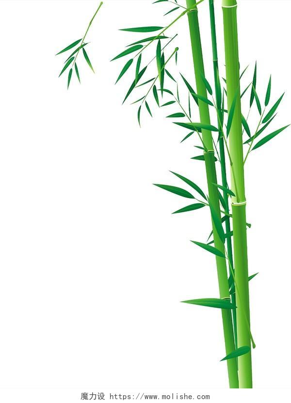 绿色端午节竹子树叶叶子PNG素材元素